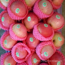 Новый урожай Qinguan Apple в ближайшее время 